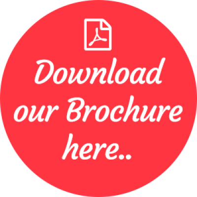 Hand Scanner 12 Watt Brochure